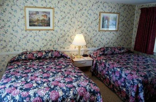 Oxen Yoke Motel North Conway Ngoại thất bức ảnh